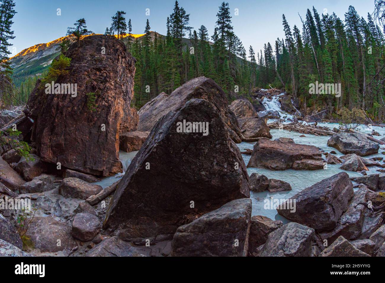 Treffen der Gewässer Yoho Nationalpark British Columbia Kanada Stockfoto