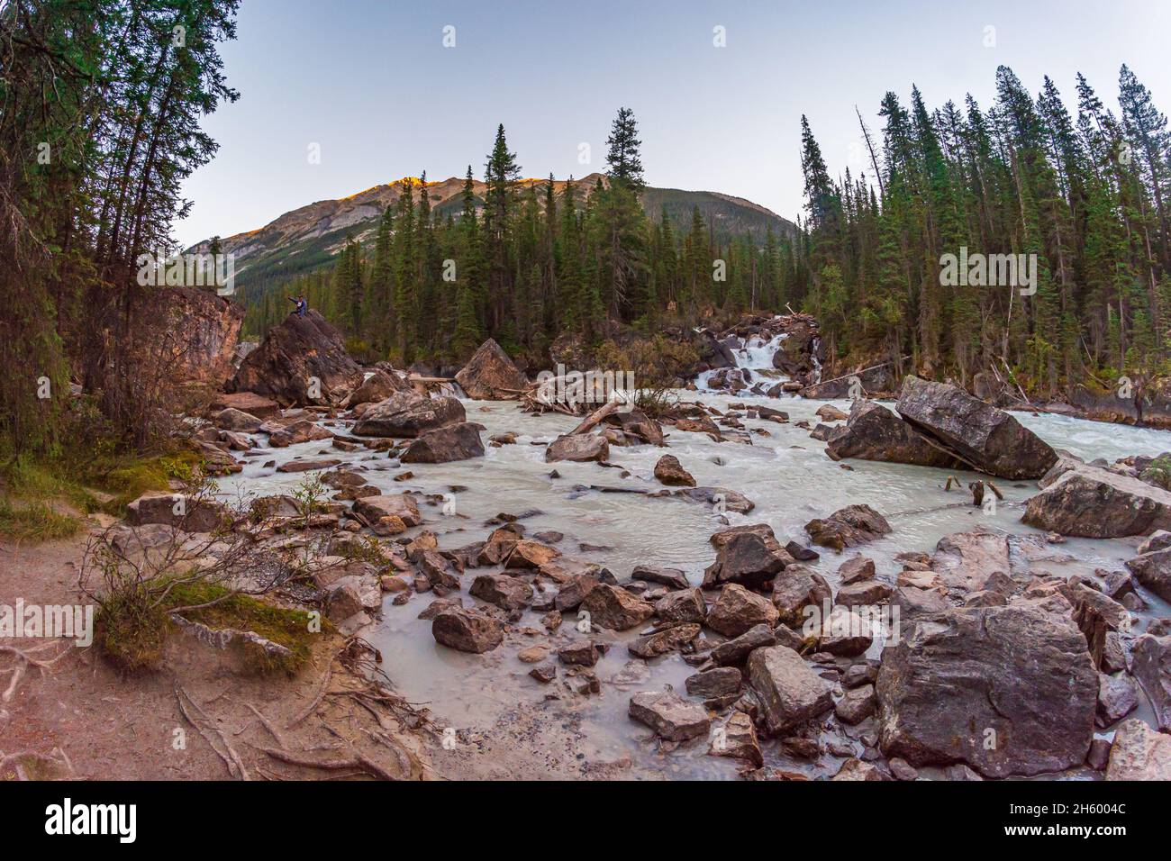 Treffen der Gewässer Yoho Nationalpark British Columbia Kanada Stockfoto