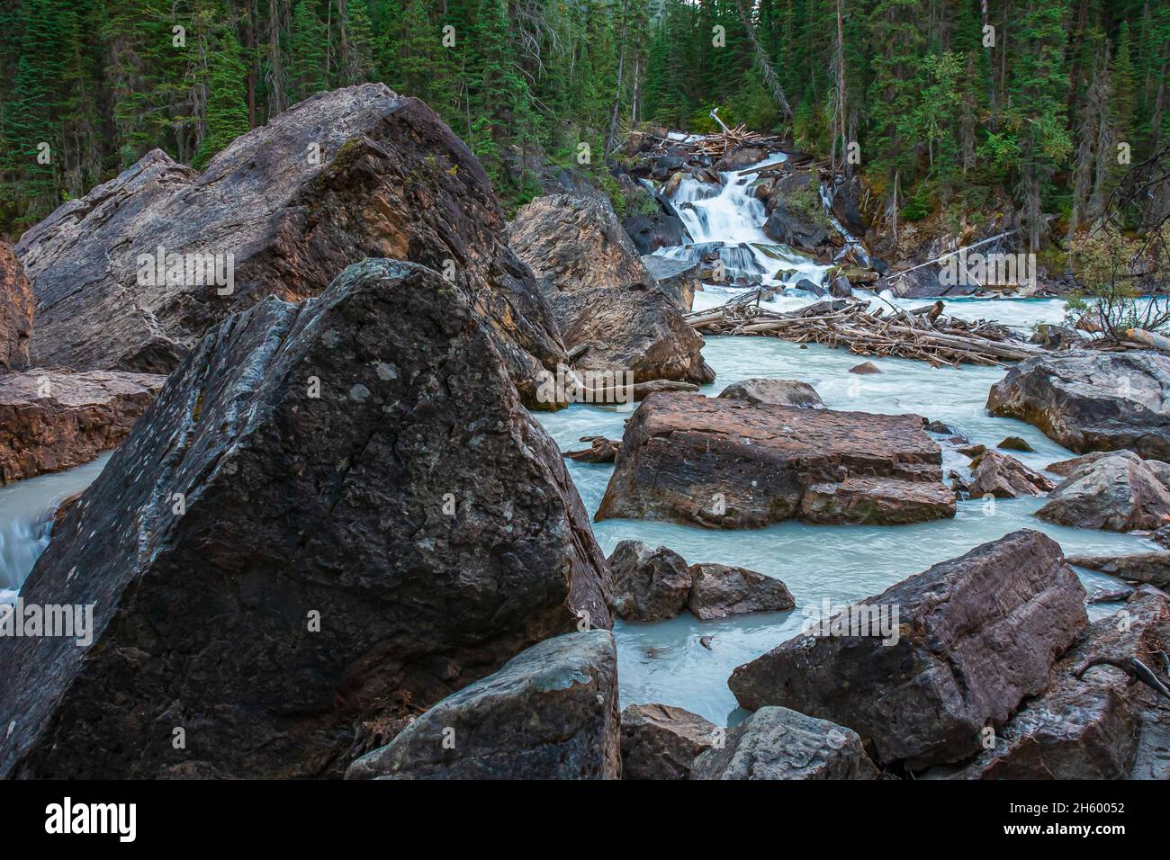 Treffen der Gewässer Yoho Nationalpark British Columbia Kanada Stockfoto
