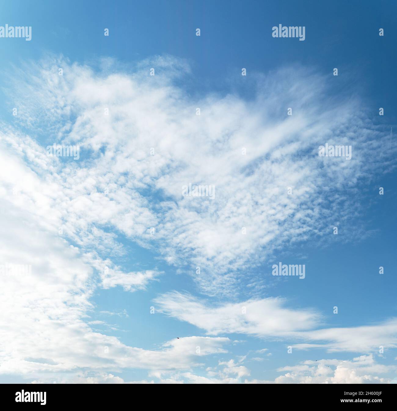Blauer und cyanfarbener, gradientenfarbener Himmel und weiße Wolken, die auf der Luft schweben. Erstaunlicher Blick auf die Harmonie von Kumulus und klarem Himmel. Stockfoto