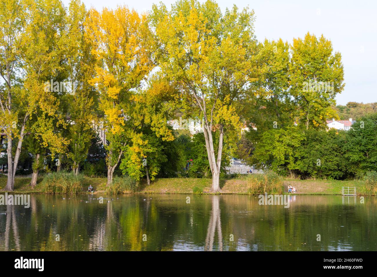 Fischer und Mutter mit Kind sitzen im Herbst am Seeufer, Ibolya to, Sopron, Ungarn Stockfoto