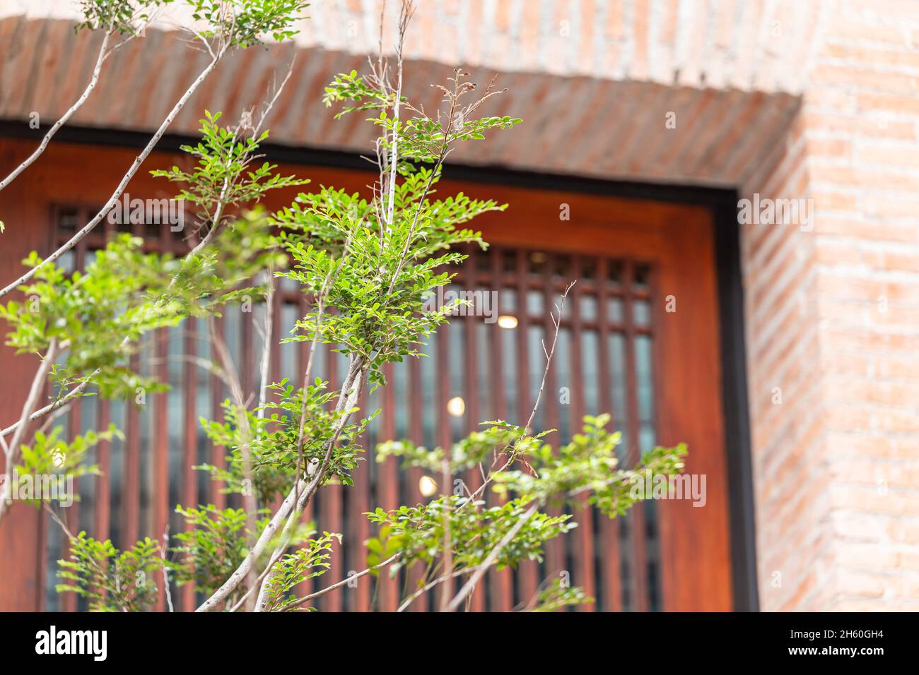 Modernes Öko-Bürogebäude mit Pflanzenbaum für grünes Ozon für Frischluftreinigung und UV-Hitzeschutz, der Energie spart. Stockfoto