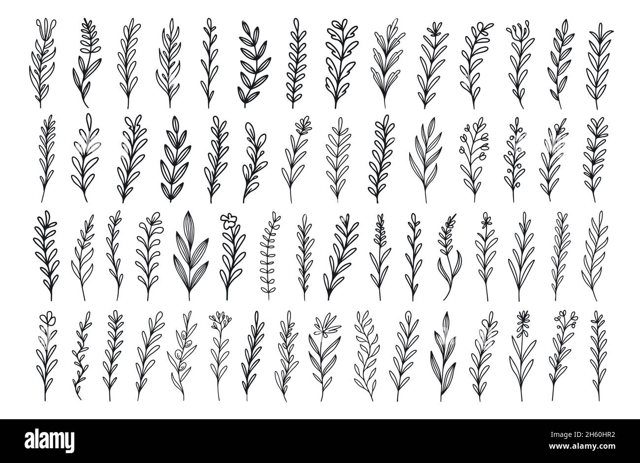 Set von handgezeichneten Vektor-Vintage-Pflanzen, Zweige mit Blättern und Blumen. Dekorative Elemente im Dessin Stock Vektor