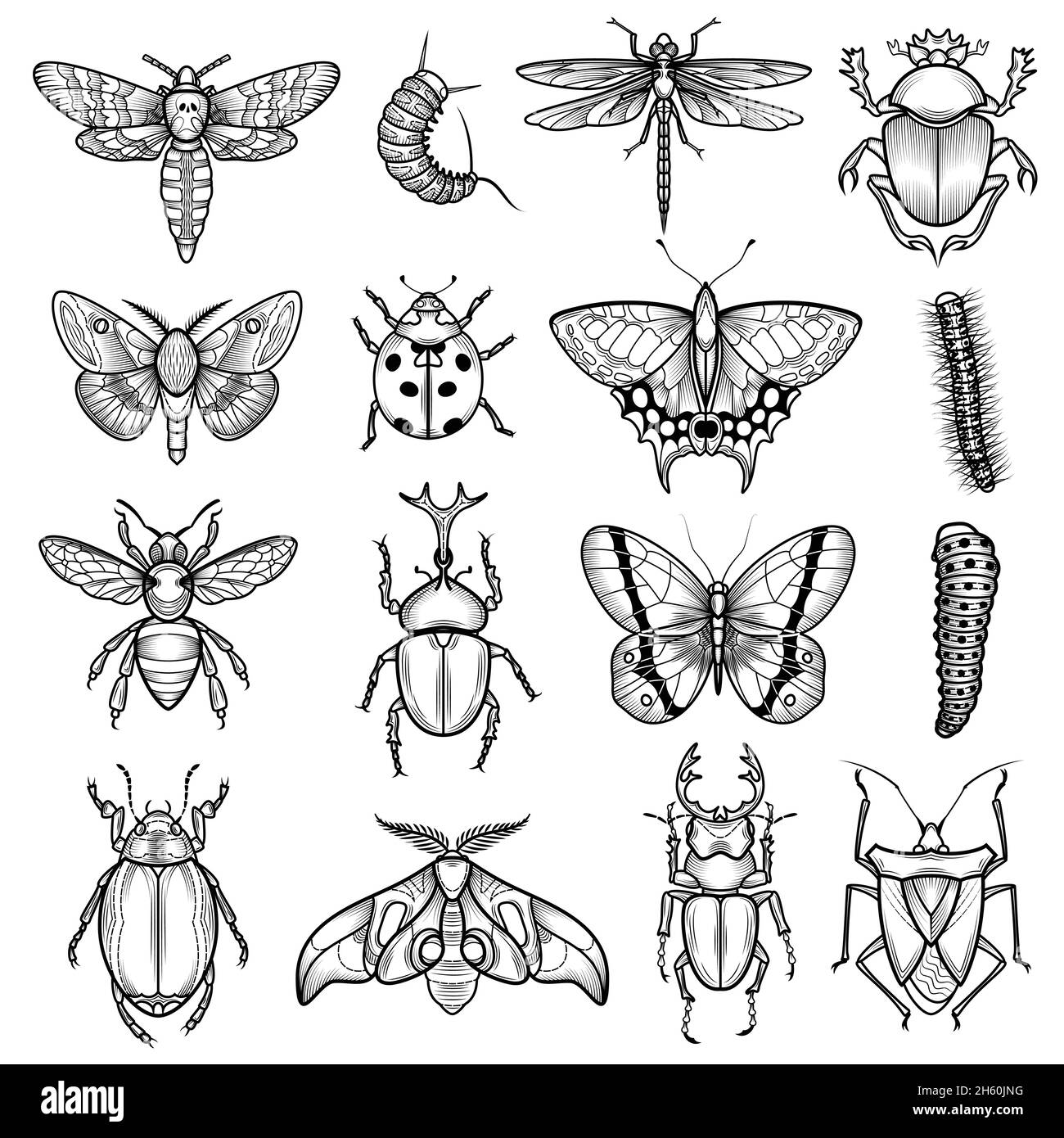 Insekten schwarz weiß Linie Symbole mit Libelle und Raupe gesetzt Flache, isolierte Vektorgrafik Stock Vektor