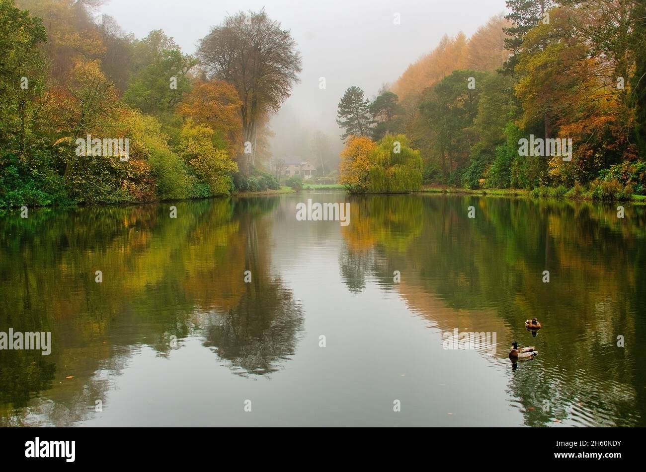 Ein Landschaftsblick auf einen Teich an einem leicht nebligen Morgen. Im Herbst aufgenommen, zeigen sie die wunderbaren Farben und die Spiegelung im Wasser Stockfoto