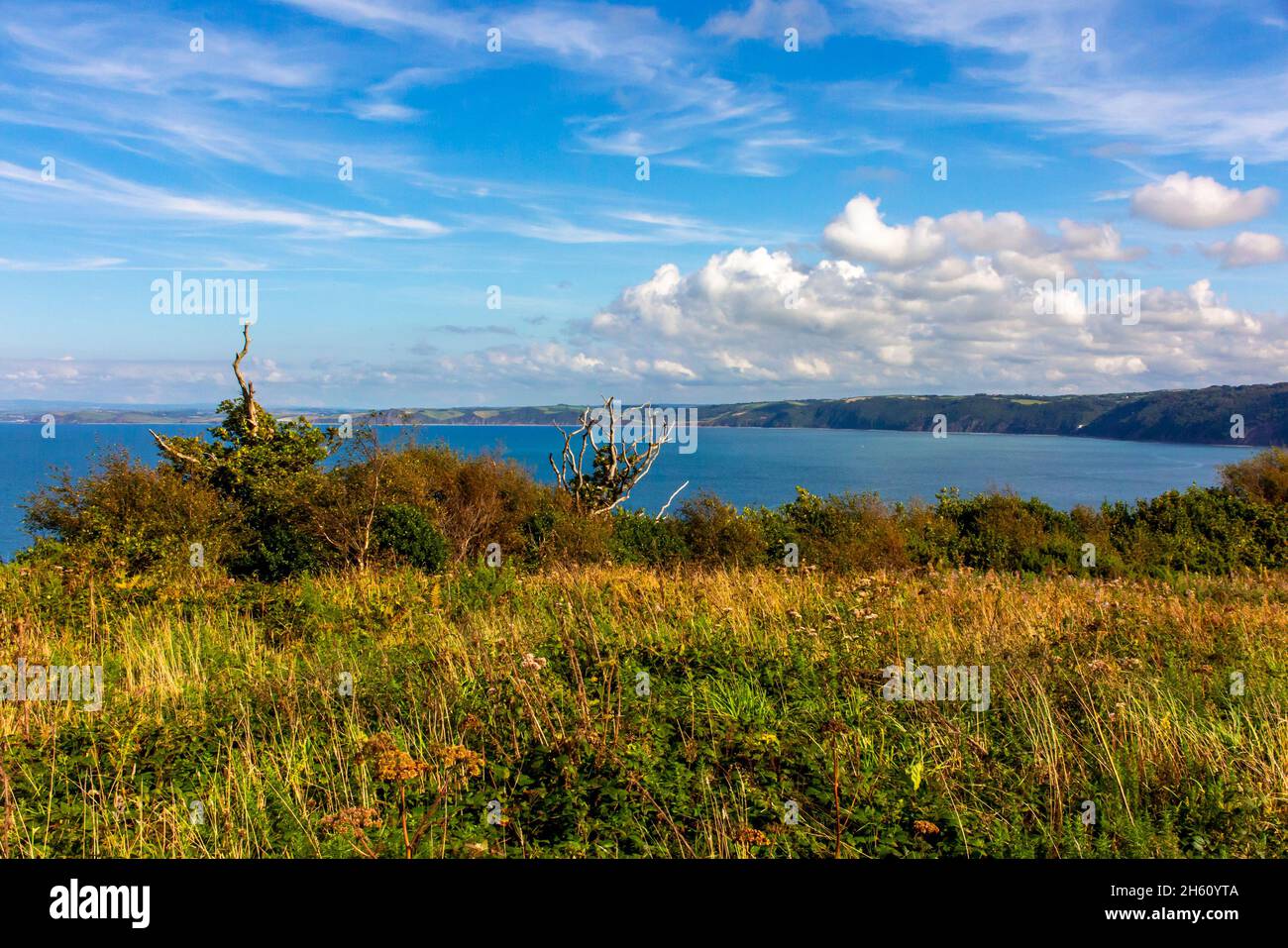 Blick über die Landschaft in der Nähe von Clovelly auf dem South West Coast Path in North Devon England in der Sommersonne. Stockfoto