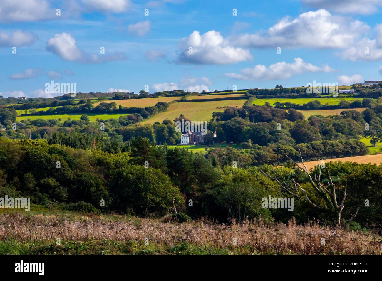 Blick über die Landschaft in der Nähe von Clovelly auf dem South West Coast Path in North Devon England in der Sommersonne. Stockfoto