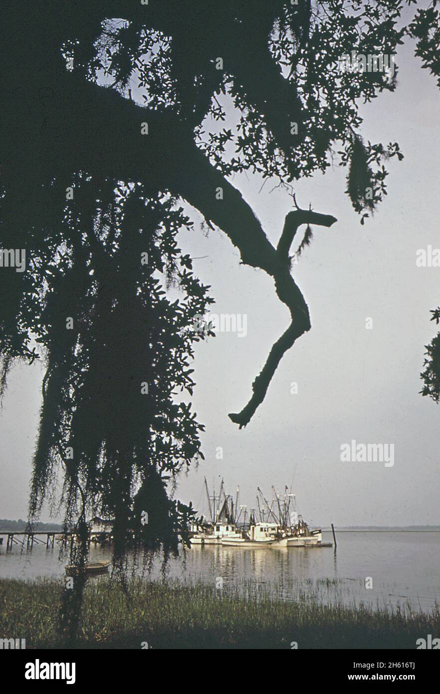 Die Garnelenflotte einer schwarzen Genossenschaft vor Hilton Head Island, ca. Mai 1973 Stockfoto