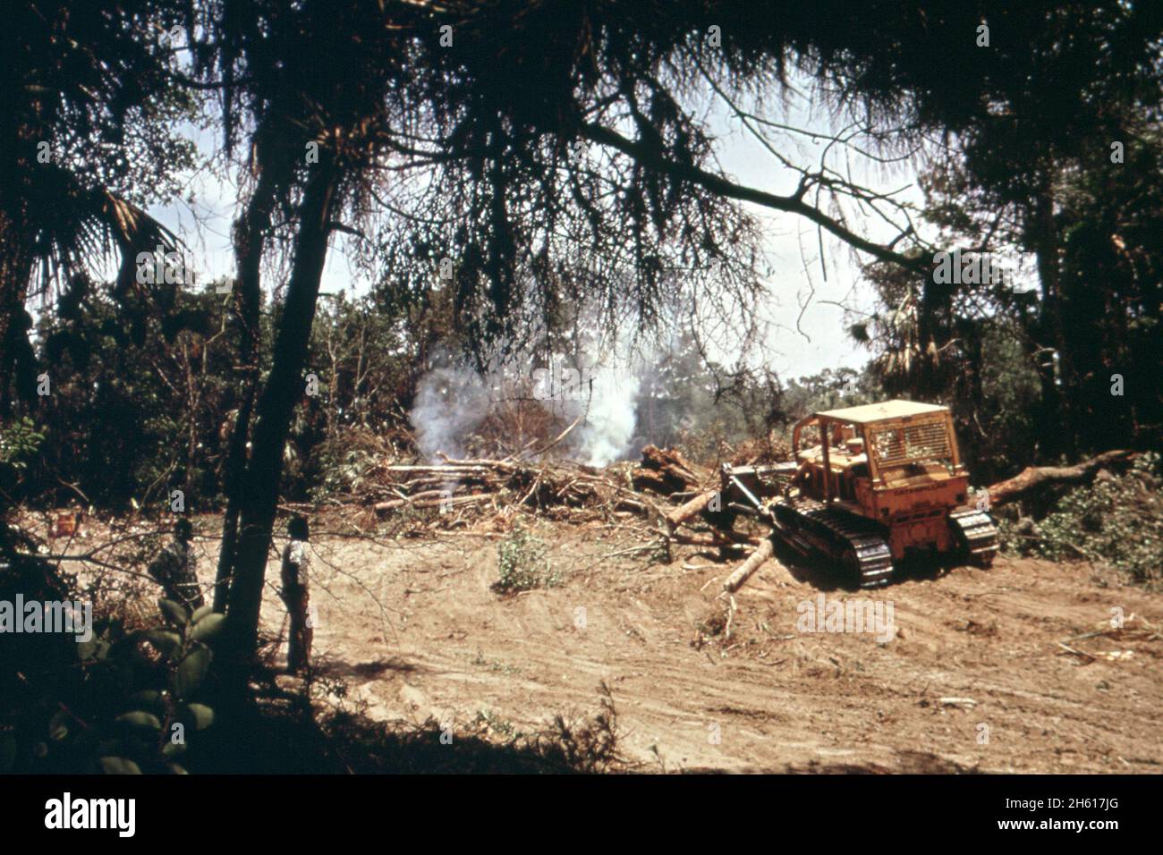 'Abulldozer räumt einen Wald und macht Platz für einen Golfplatz auf John's Island, (Teil der seabrook Inselentwicklung) ca. Mai 1973' Stockfoto