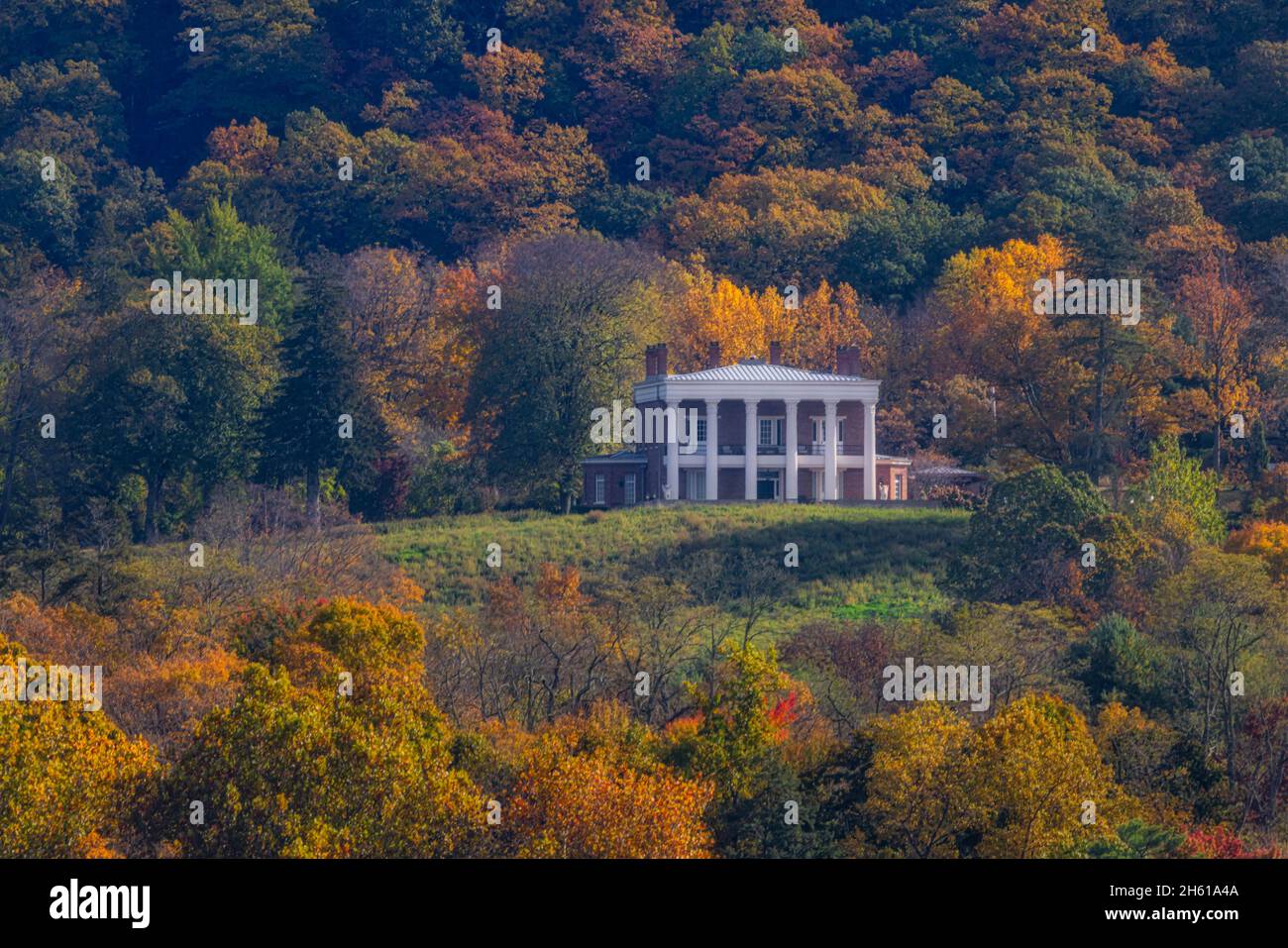 New York Herbst Laub Stockfoto