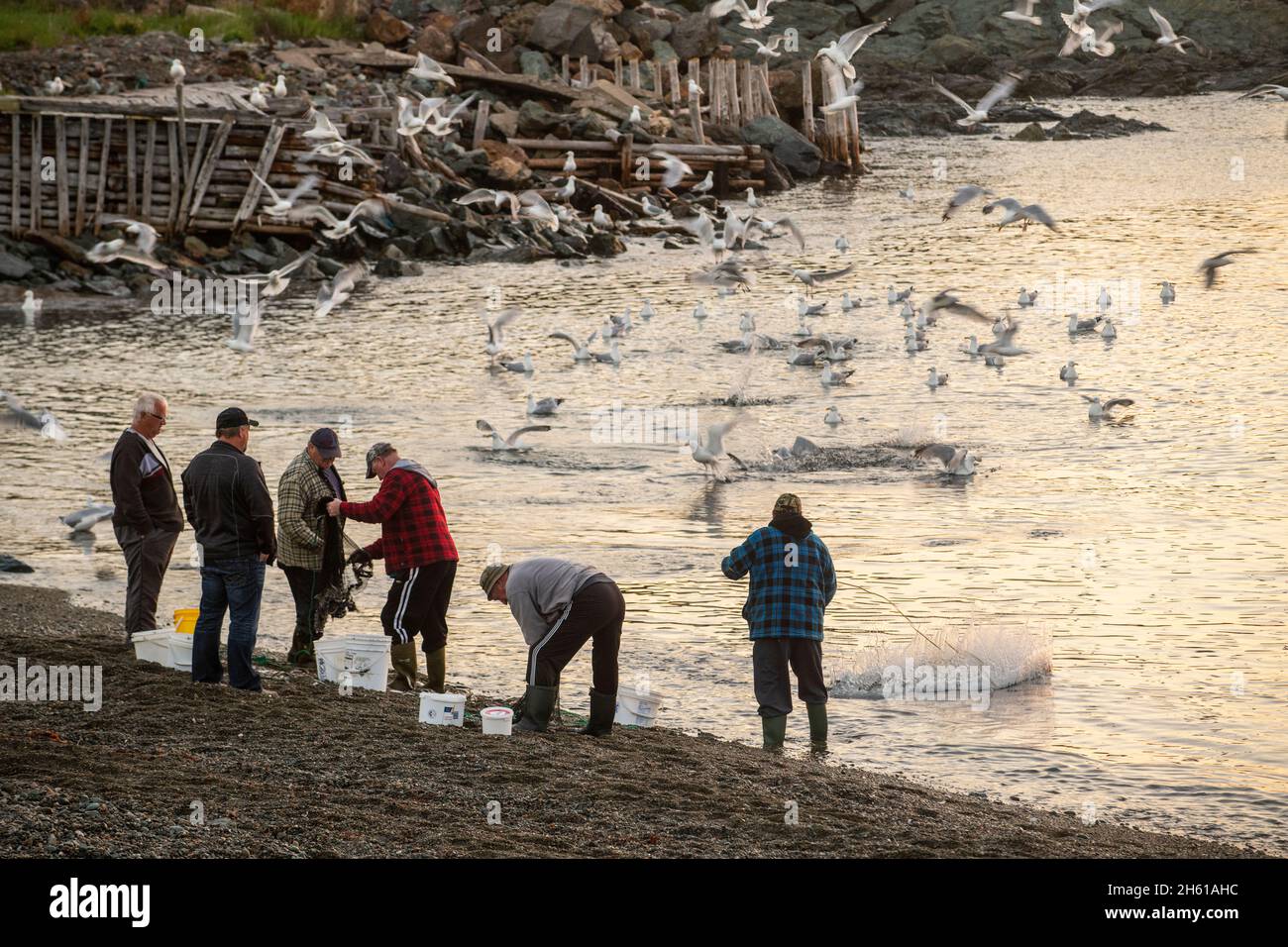 Anwohner, die mit gegossenen Netzen für den Speerwurf, Wild Cove, Neufundland und Labrador NL, Kanada, fischen Stockfoto