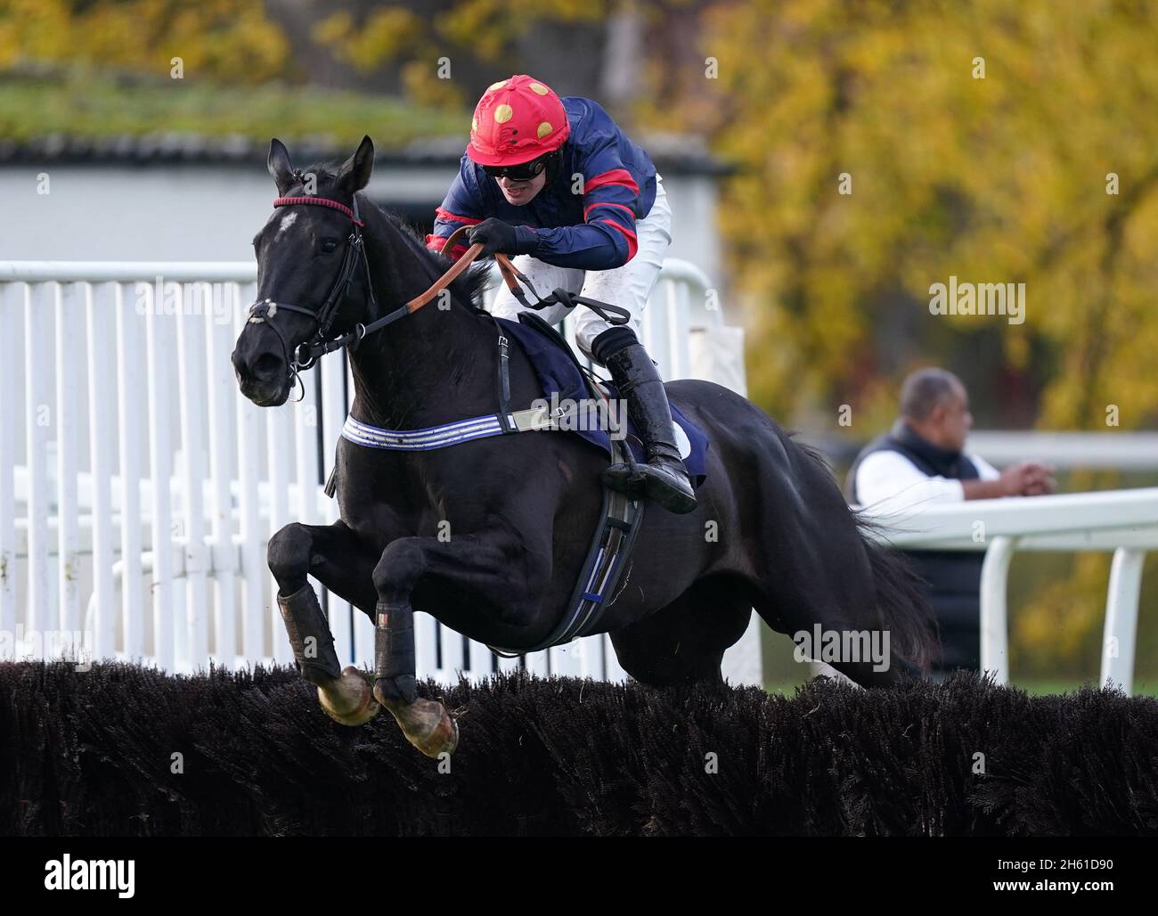 What A Glance ridden by David Bass räumt einen Zaun, bevor es weitergeht, um die Royal Equestrian Clothing zu gewinnen, unterstützt Kemp Hospice Handicap Hürde auf der Rennbahn von Worcester. Bilddatum: Freitag, 12. November 2021. Stockfoto