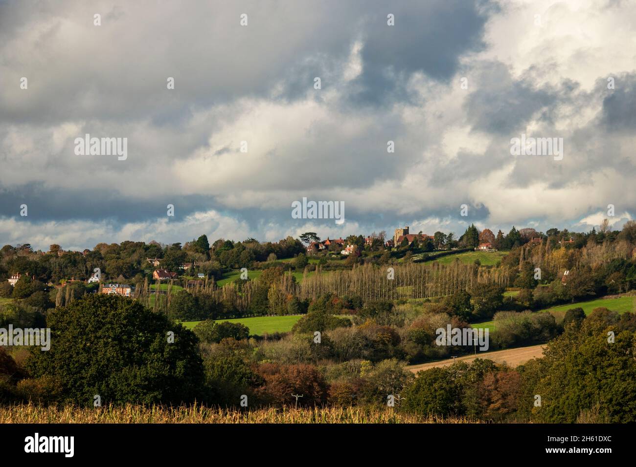 Auf dem High Weald Landscape Trail von Cranbrook nach Goudhurst im Herbst in Kent Südostengland, Großbritannien Stockfoto