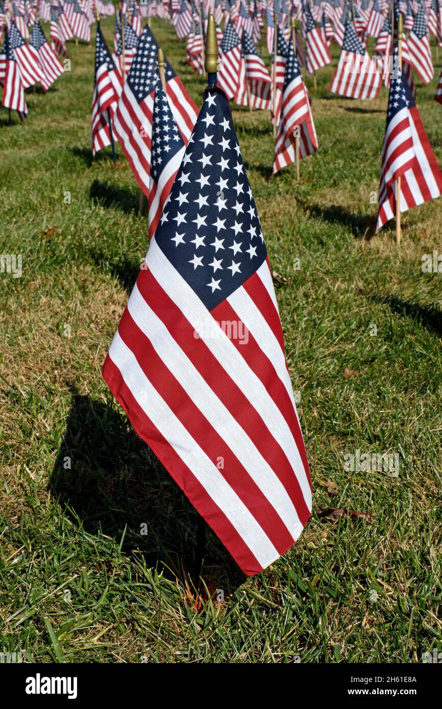 American Flag in einem Meer von Flaggen zu Ehren von Militärveteranen an einem hellen sonnigen Tag. Die US-Flagge ist die Nationalflagge der Vereinigten Staaten. Stockfoto