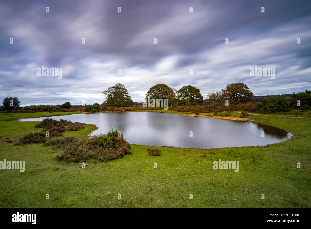 Mogshade Hill Pond im New Forest National Park, Hampshire, England, Großbritannien Stockfoto