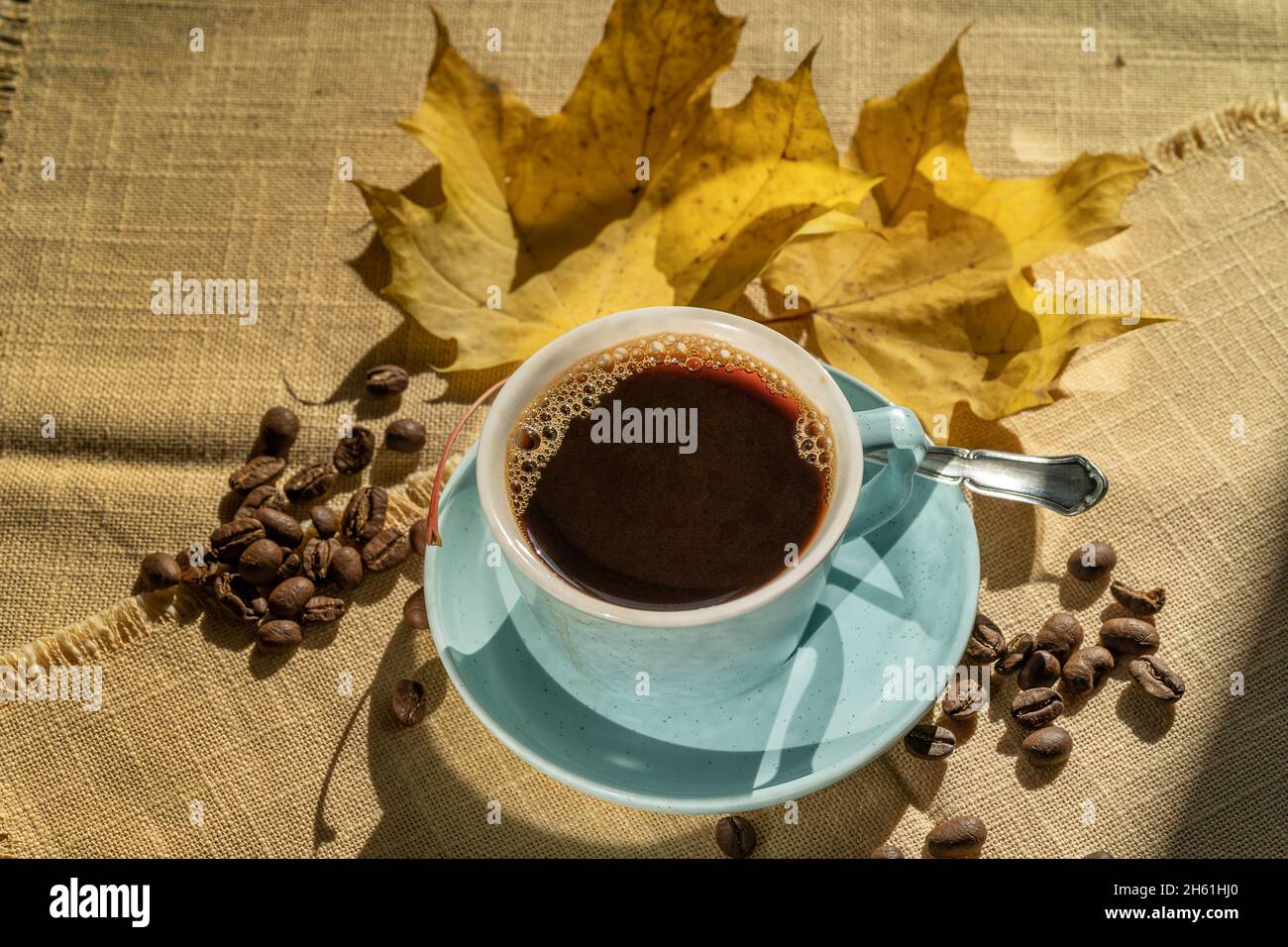 Tasse Kaffee, Kaffeebohnen und gelbe Blätter, beleuchtet vom Sonnenlicht, Herbsttag. Stockfoto