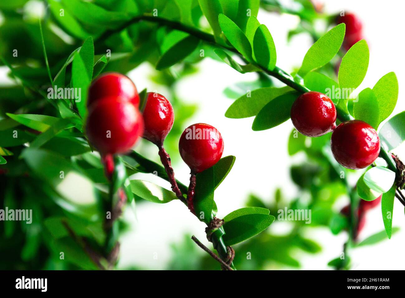 Weihnachtskranz mit gefälschtem Stechpalme, Nahaufnahme Stockfoto