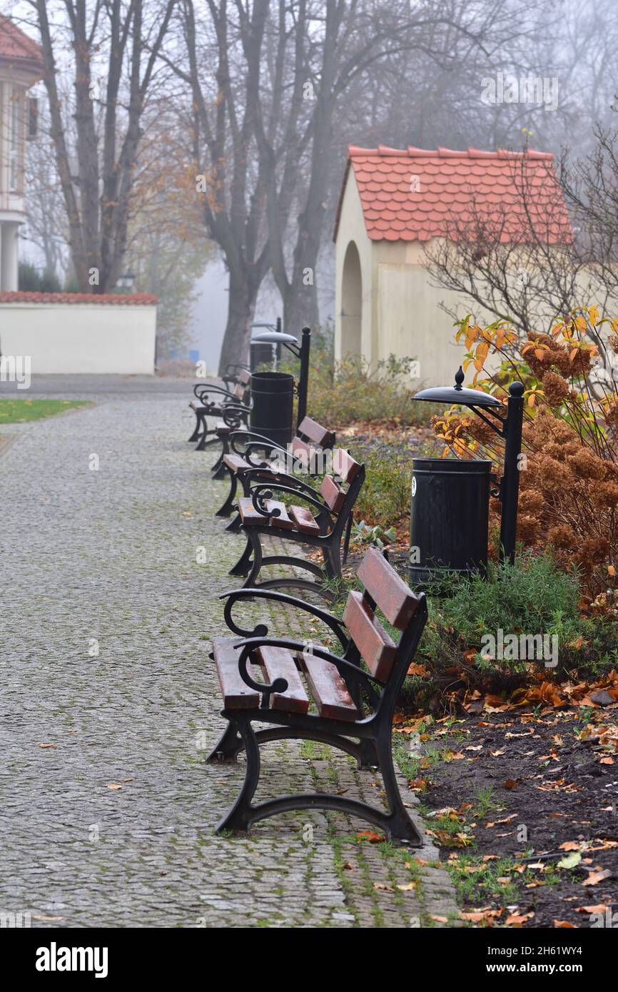Bänke in einem herbstlichen Promenadenpark zwischen heruntergefallenen Blättern und im Nebel. Stockfoto
