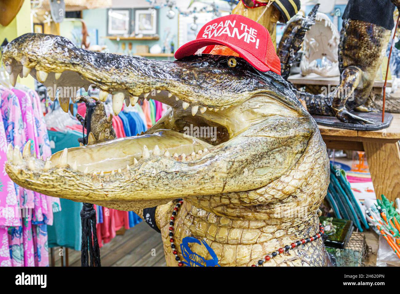 Stuart Florida, Nautisch, aber schöner Einkaufsmarkt Marktplatz, der Souvenirs verkauft, ausgestopfter Taxidermy Alligator, Pro-Trump entleeren den Sumpf Humor Stockfoto