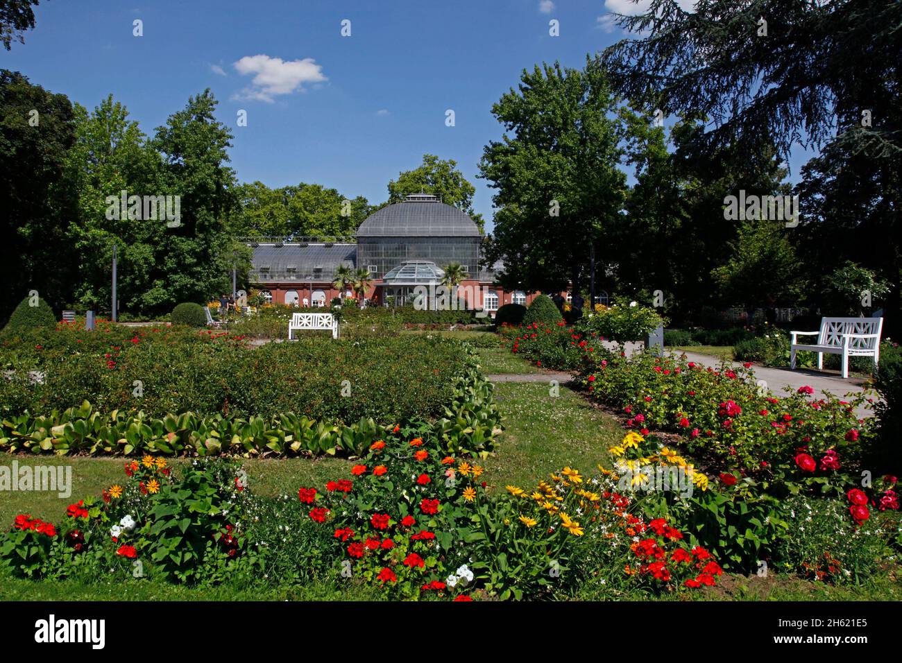 Herrliche Blumenbeete, palmengarten frankfurt am Main, hessen, deutschland Stockfoto