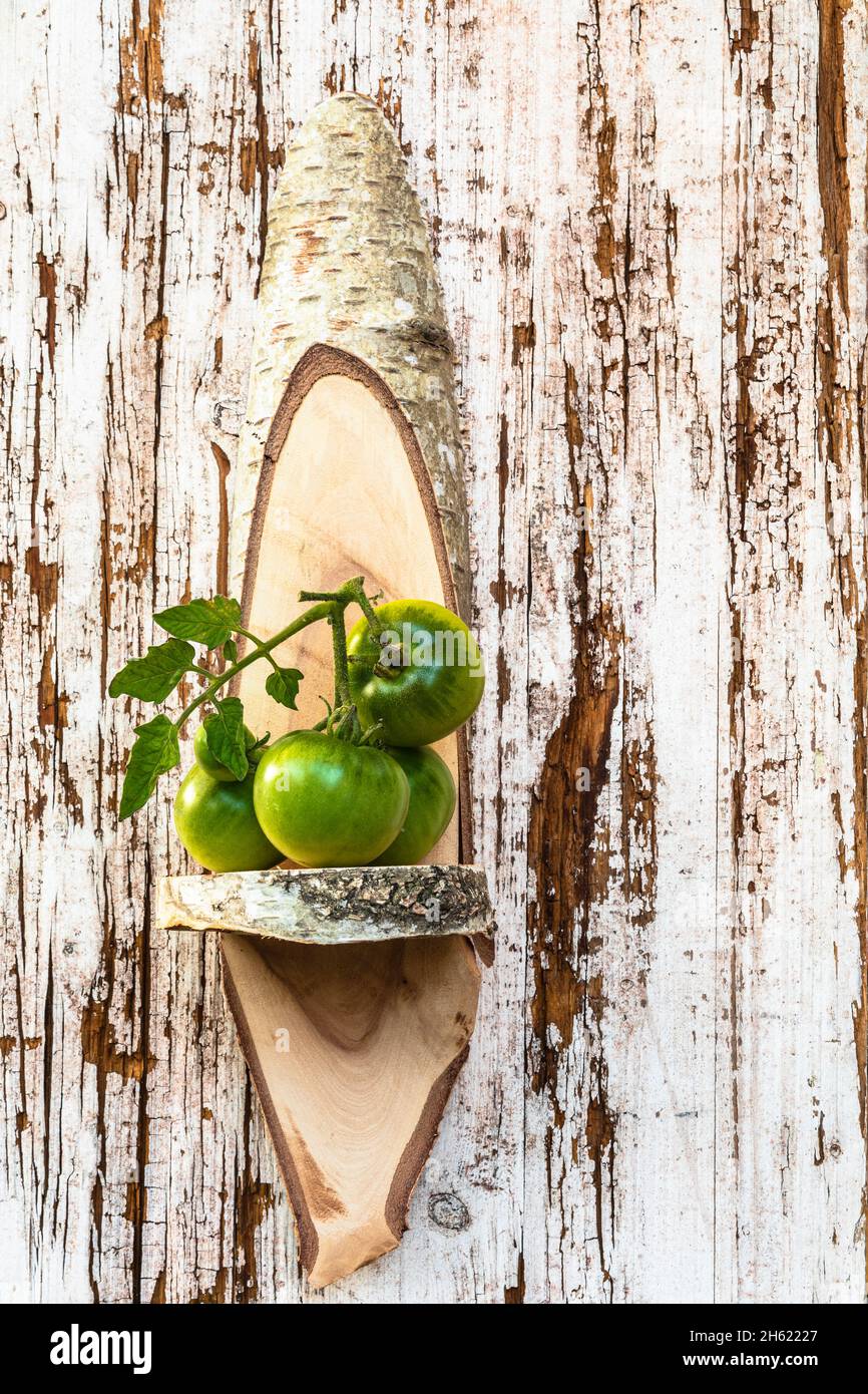 Dekoratives Regal aus Birkenholz mit grünen Tomaten, Landhausstil, kreative Idee Stockfoto