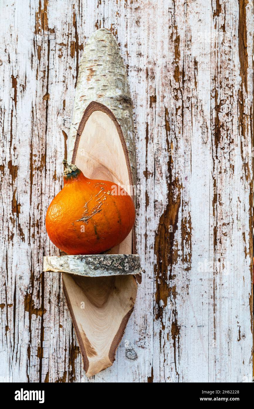 Dekoratives Regal aus Birkenholz mit Kürbis, Landhausstil, kreative Idee Stockfoto