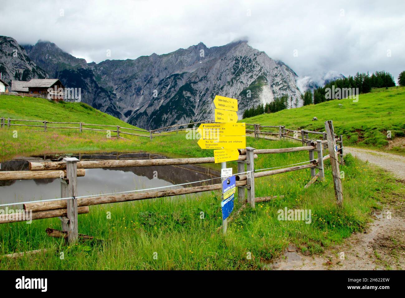 walder alm,dahinter Erbrochenkette,karwendelgebirge,tirol,österreich,europa gnadenwald,Aussicht,karwendel,Berge,alpen,Berglandschaft,Gipfel,Bergkette,Wiese,Bergwiese,Blumen,Hof,Häuser,Berghof,Teich,Zaun,Wegweiser Stockfoto