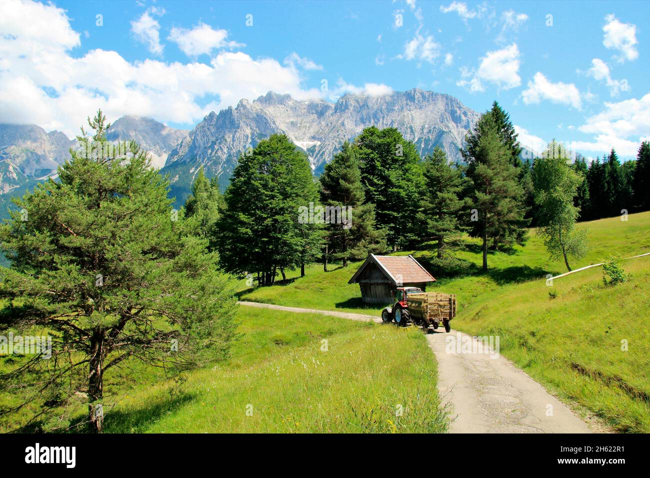 lindner geotrac 73,3300 cm–³, 3 Zylinder, bj. 2009,Traktor während der Heuernte,deutschland,bayern,oberbayern,werdenfelser Land,isartal,mittenwald,kranzberg,wildensee,buckelwiesen,karwendelgebirge,Heuwagen,karwendel Stockfoto