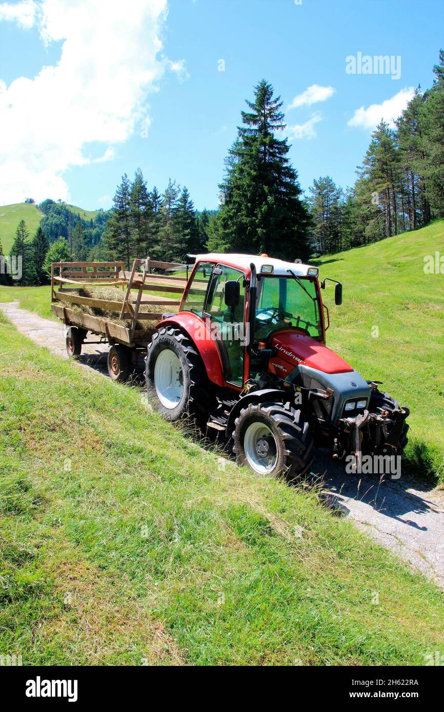 lindner geotrac 73,3300 cm–³, 3 Zylinder, bj. 2009,Traktor während der Heuernte,deutschland,bayern,oberbayern,werdenfelser Land,isartal,mittenwald,kranzberg,wildensee,buckelwiesen,Heuwagen Stockfoto