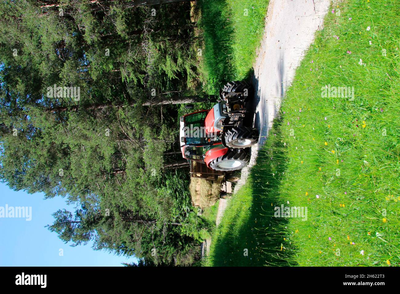 Alter Mann auf lindner geotrac 73,3300 cm–³, 3 Zylinder, bj. 2009,Traktor bei der Heuernte,deutschland,bayern,oberbayern,werdenfelser Land,isartal,mittenwald,kranzberg,wildensee,buckelwiesen,karwendelgebirge,Heuwagen Stockfoto