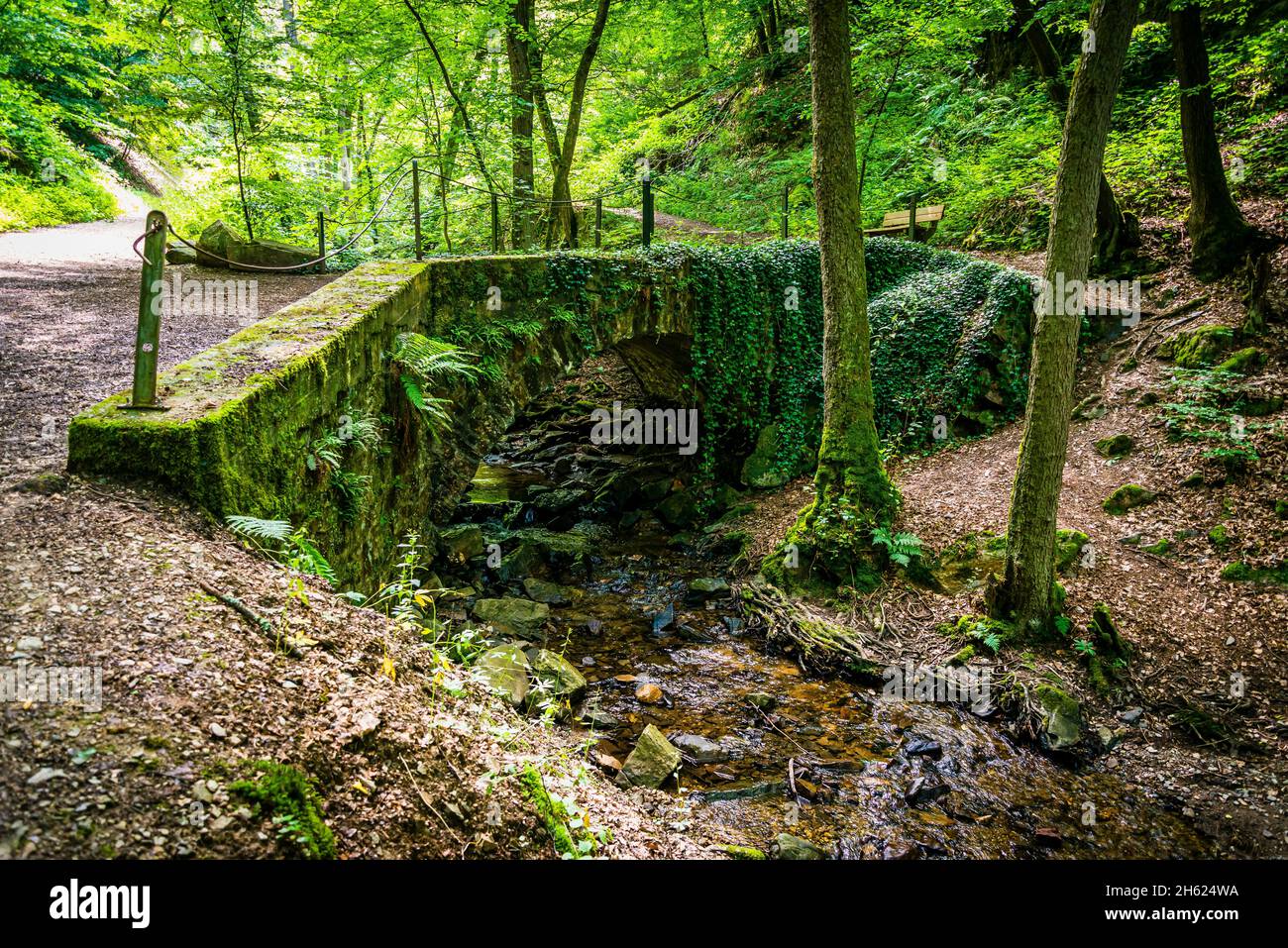 Morgenbachtal,unberührtes, urwaldähnliches, felsiges Naturschutzgebiet,morgenbach ist ein linker Nebenfluss des mittelrheins Stockfoto