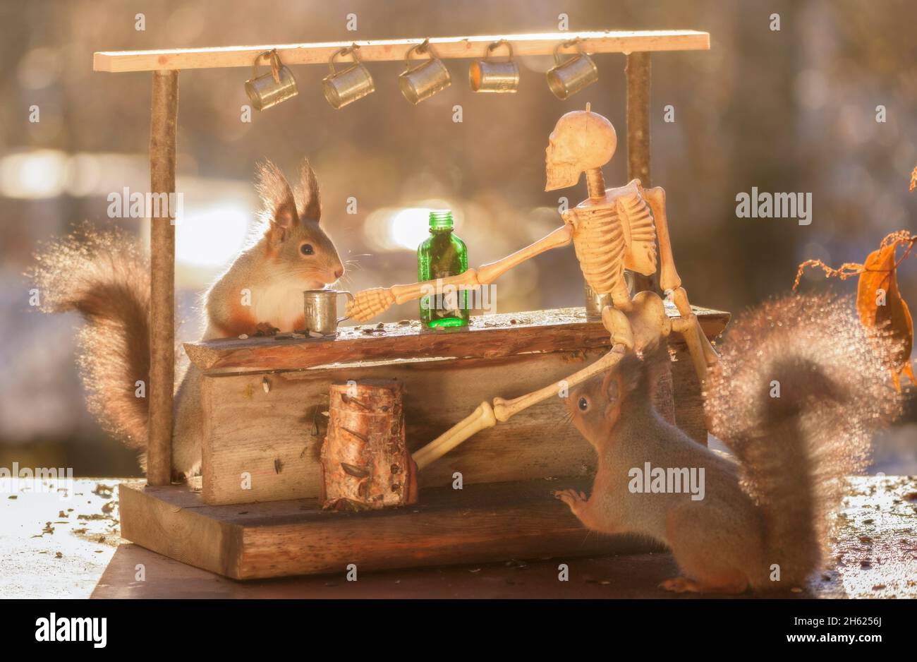 Eichhörnchen und ein Skelett an der Bar Stockfoto