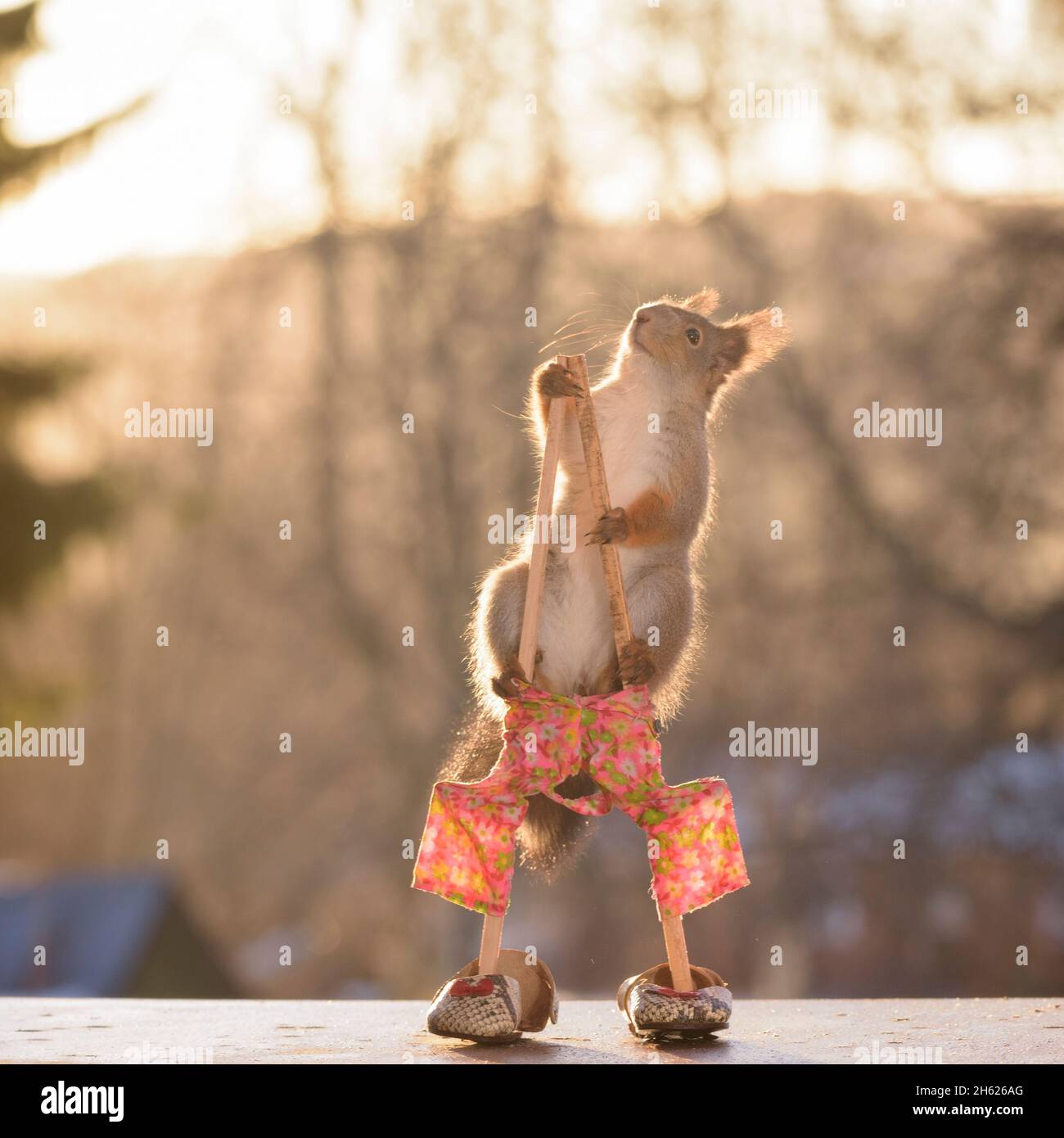 Gleichgewicht auf stelzen Fotos und Bildmaterial in hoher Auflösung Alamy