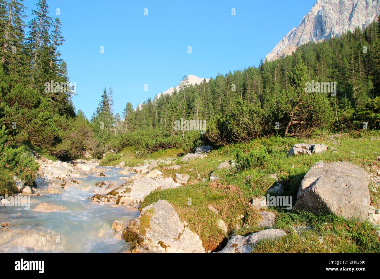 österreich, tirol, halleranger, lafatscherbach, Berge, alpen, Berglandschaft, Idylle, Bach, Brooklet, atmosphärisch, Sommer, Himmel, Fels, Tourismus, Natur, Bäume, Stockfoto