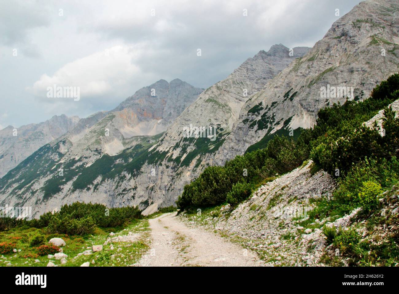 Blick unterhalb der pfeishütte 1922 m ins Samertal, gleirschtal, die Kiefernfelder reichen fast ins Tal, österreich, tirol, karwendelgebirge, Naturpark karwendel Stockfoto