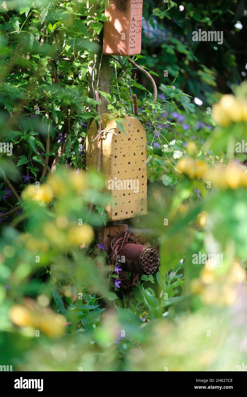 Verschiedene Bienenhotels im Naturgarten Stockfoto