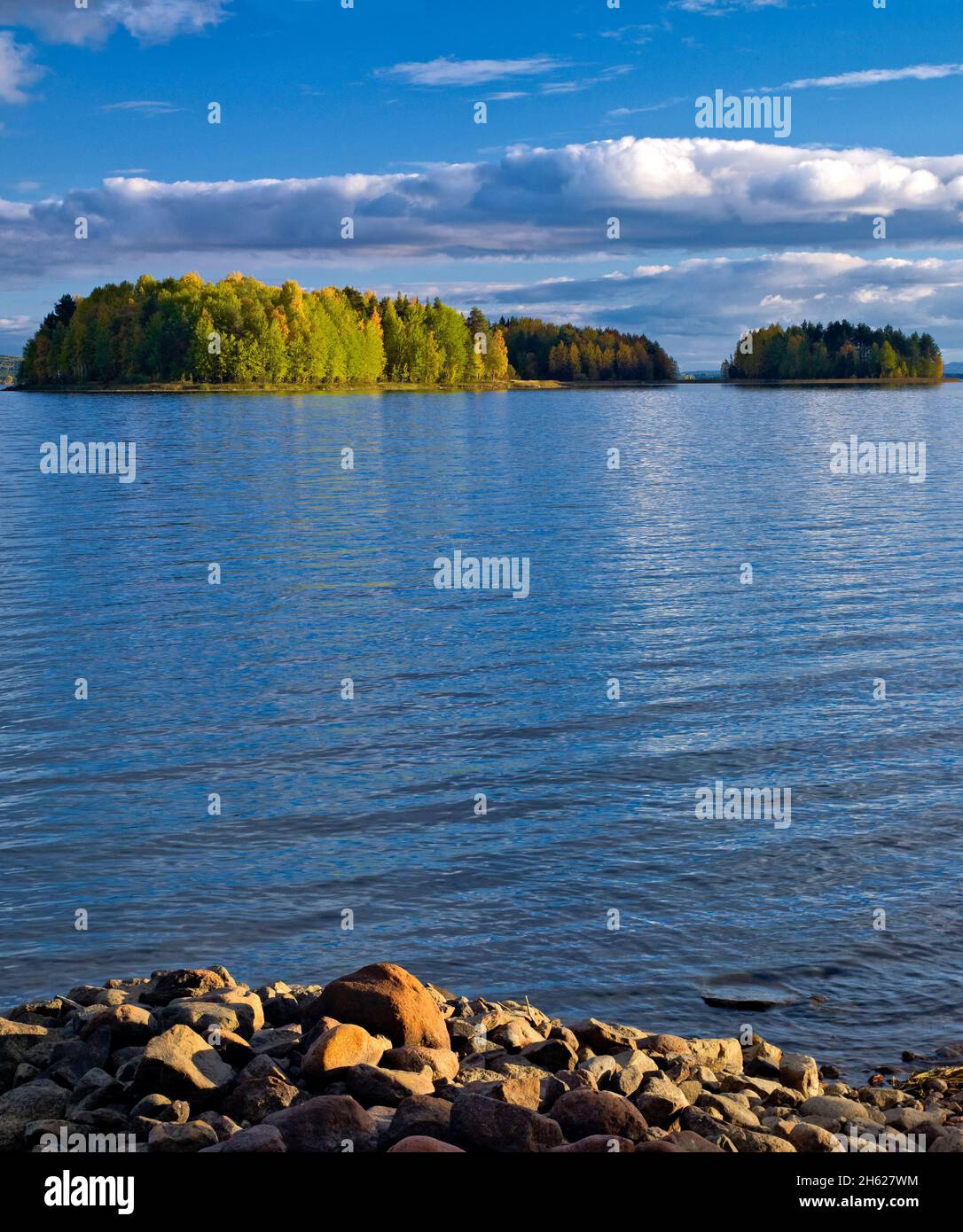 europa, schweden, dalarna, Herbststimmung an einem Waldsee Stockfoto