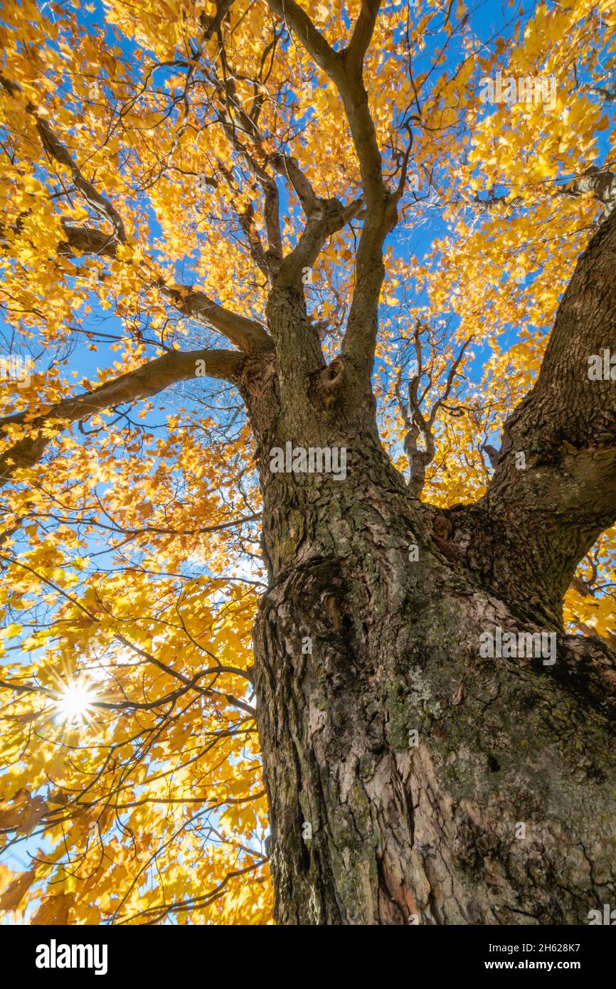 Wandern in brillantem Herbstlaub in den Catskill Mountain Foothills an einem Herbsttag Stockfoto
