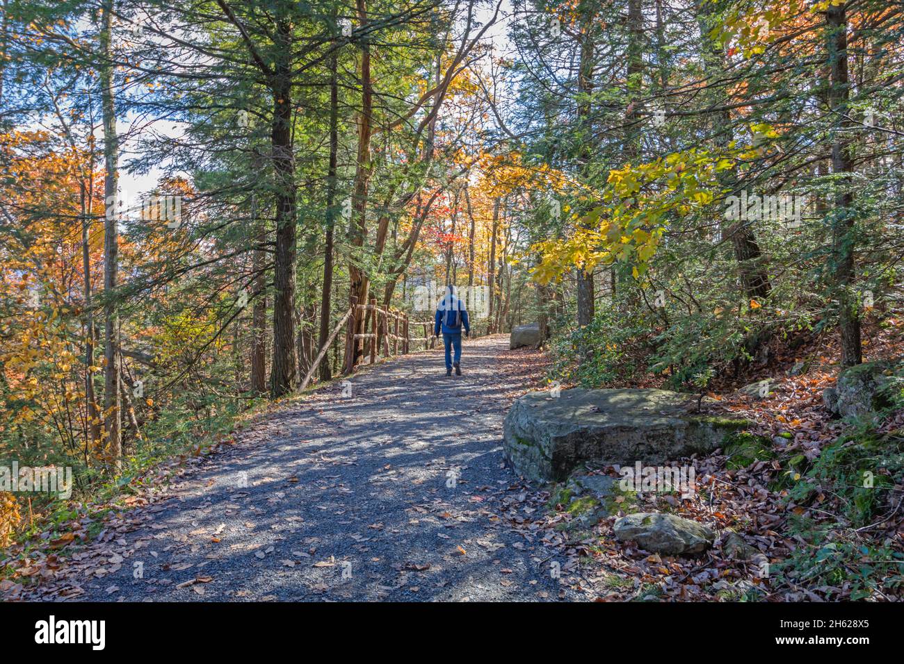 Wandern in brillantem Herbstlaub in den Catskill Mountain Foothills an einem Herbsttag Stockfoto