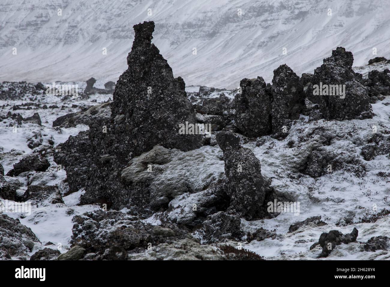 Detailansicht eines Lavafeldes im Winter. Stockfoto