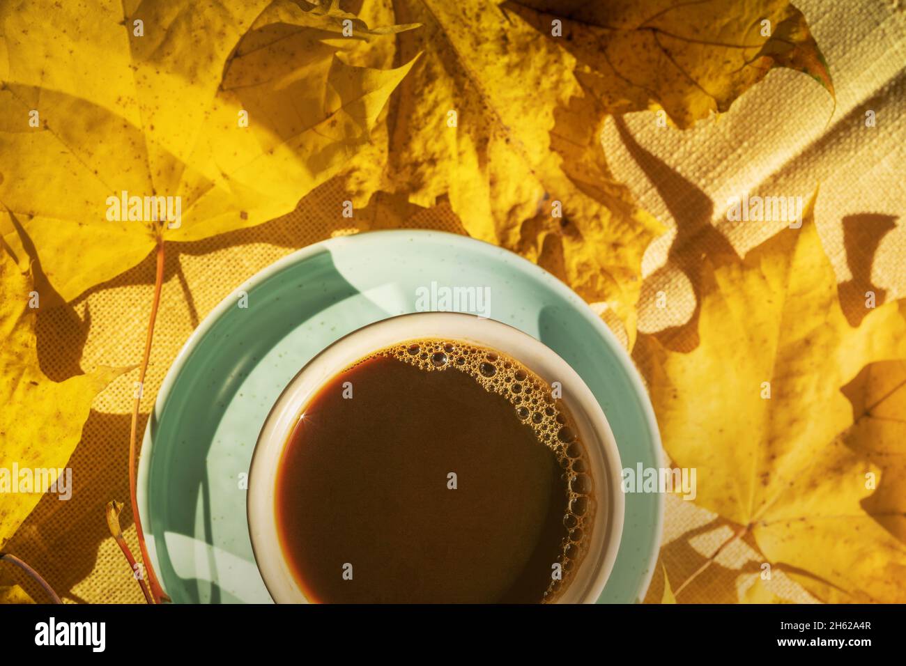 Tasse Kaffee über Herbst gelbe Blätter Hintergrund, flach lag. Stockfoto