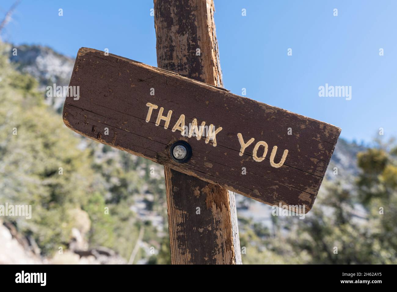 Rustikales Holzschild mit Bergwildnis Hintergrund. Stockfoto