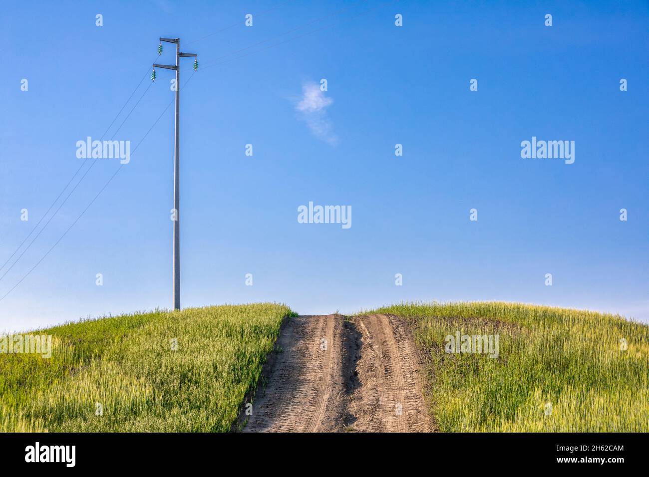 Landstraße und Strommast mit blauem Himmel, minimaler Landschaft, crete senesi, Provinz siena, toskana, italien Stockfoto