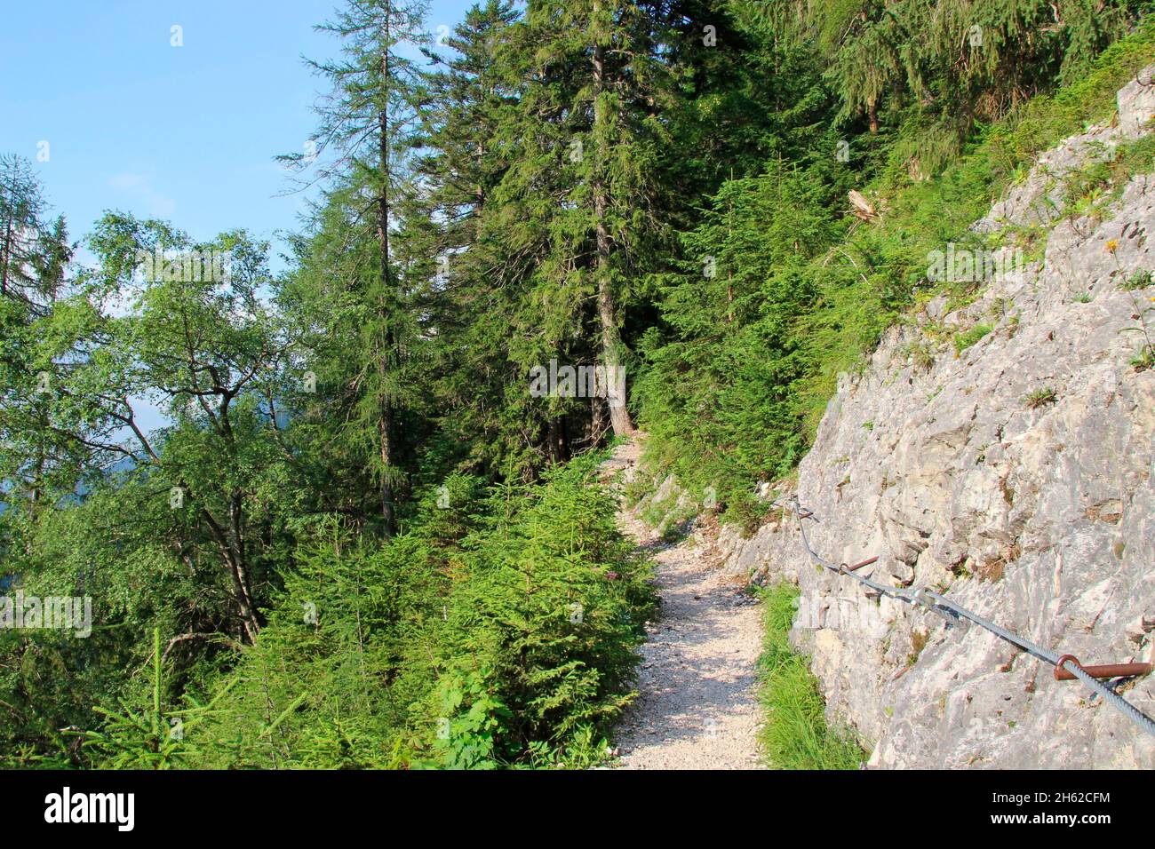 Weg zur mittenwalder Hütte oberhalb von mittenwald im karwendel,mit Sicherheitsseilen und grünen Bäumen,blauer Himmel,deutschland,bayer,oberbayern,isartal,alpenwelt karwendel, Stockfoto