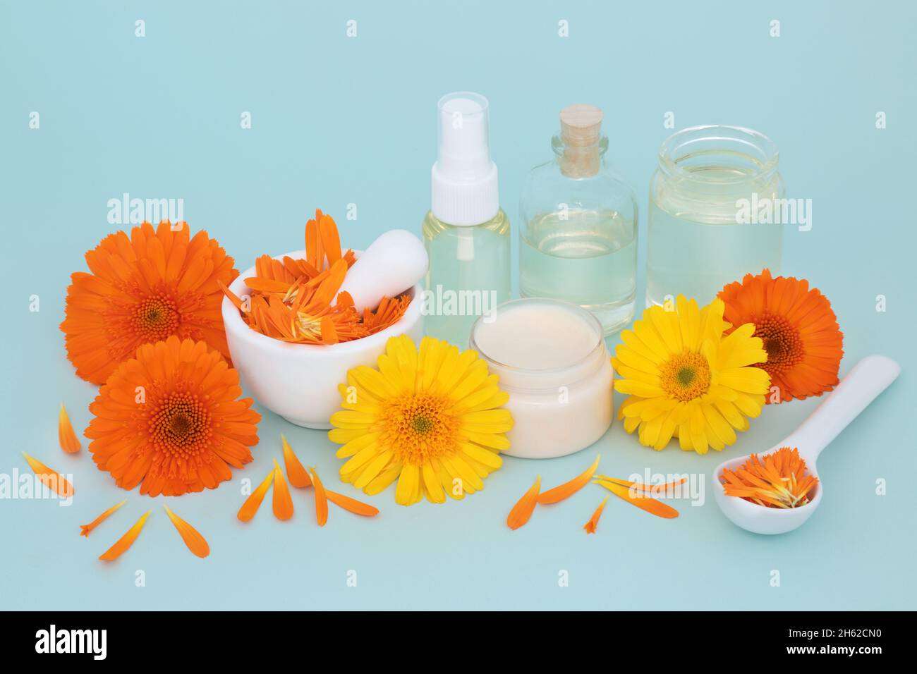 Calendula alternative Hautpflege mit Blumen, Salbe, Ölflaschen und Blütenblättern. Heilt Wunden, Akne, Ekzeme, stimuliert Kollagen und ist antiseptisch. Stockfoto