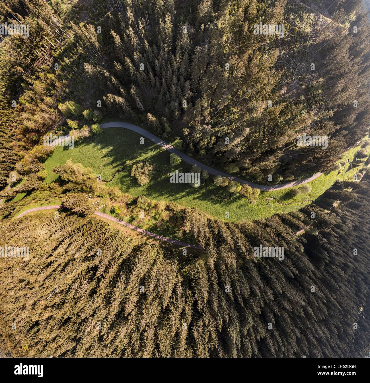 deutschland,thüringen,ilmenau,gehren,Tal,Wald,Wege,Wiesenboden,Luftbild,Draufsicht Stockfoto