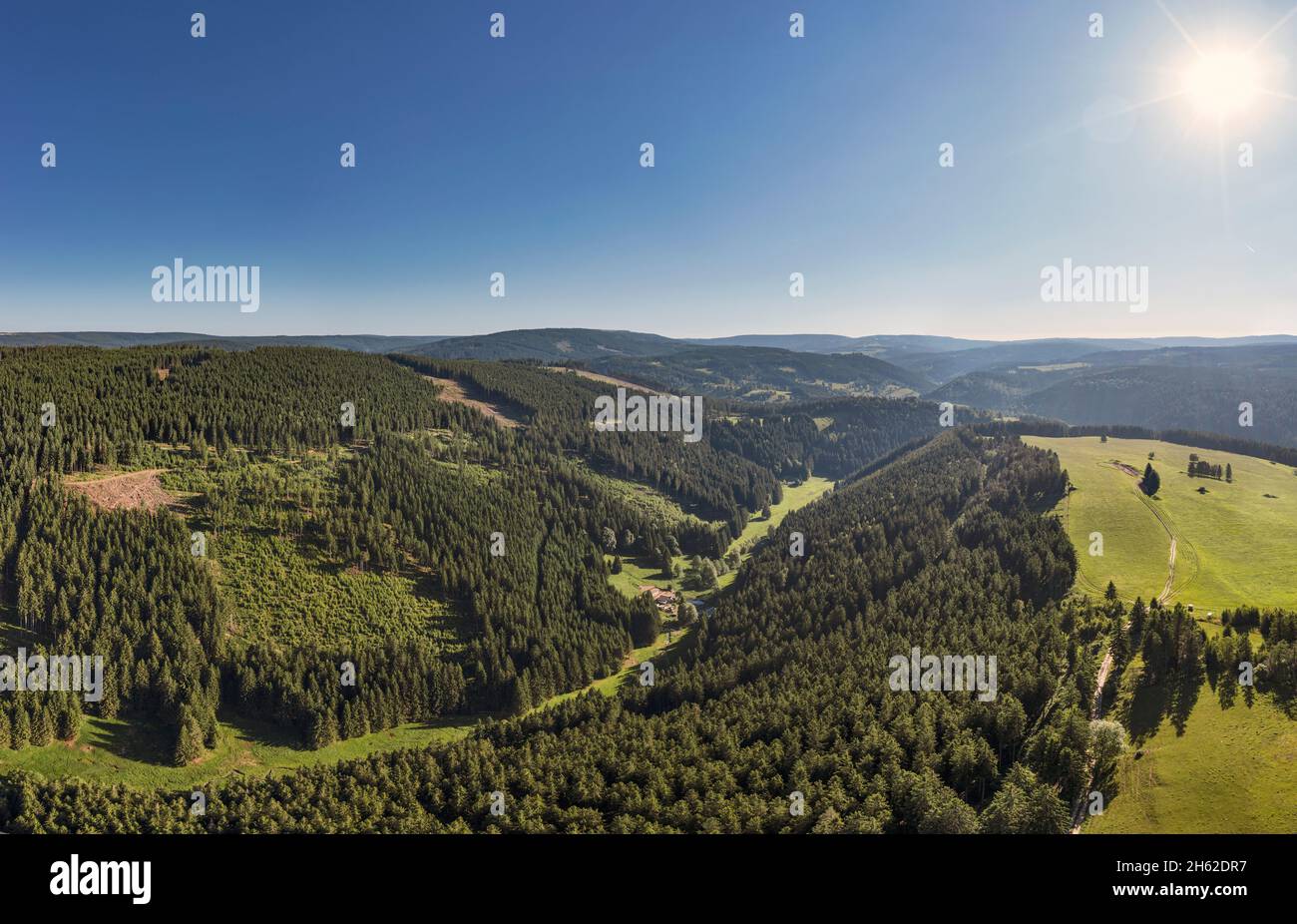 deutschland,thüringen,ländliche Gemeinde schwarzatal,meuselbach-schwarzmühle,Tal der weißen schwarza,Wiesen,Wald,Berge,Landschaft,Sonne,Rücklicht Stockfoto