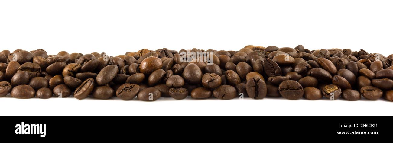 Panorama einer Reihe von Kaffeebohnen Stockfoto