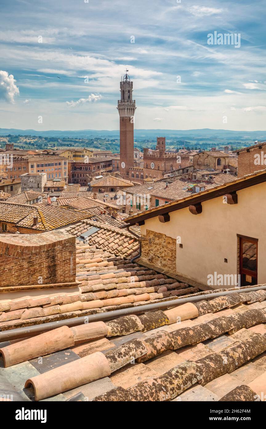 Erhöhter Blick auf torre del mangia und piazza del campo, historische Stadt, siena, toskana, italien Stockfoto