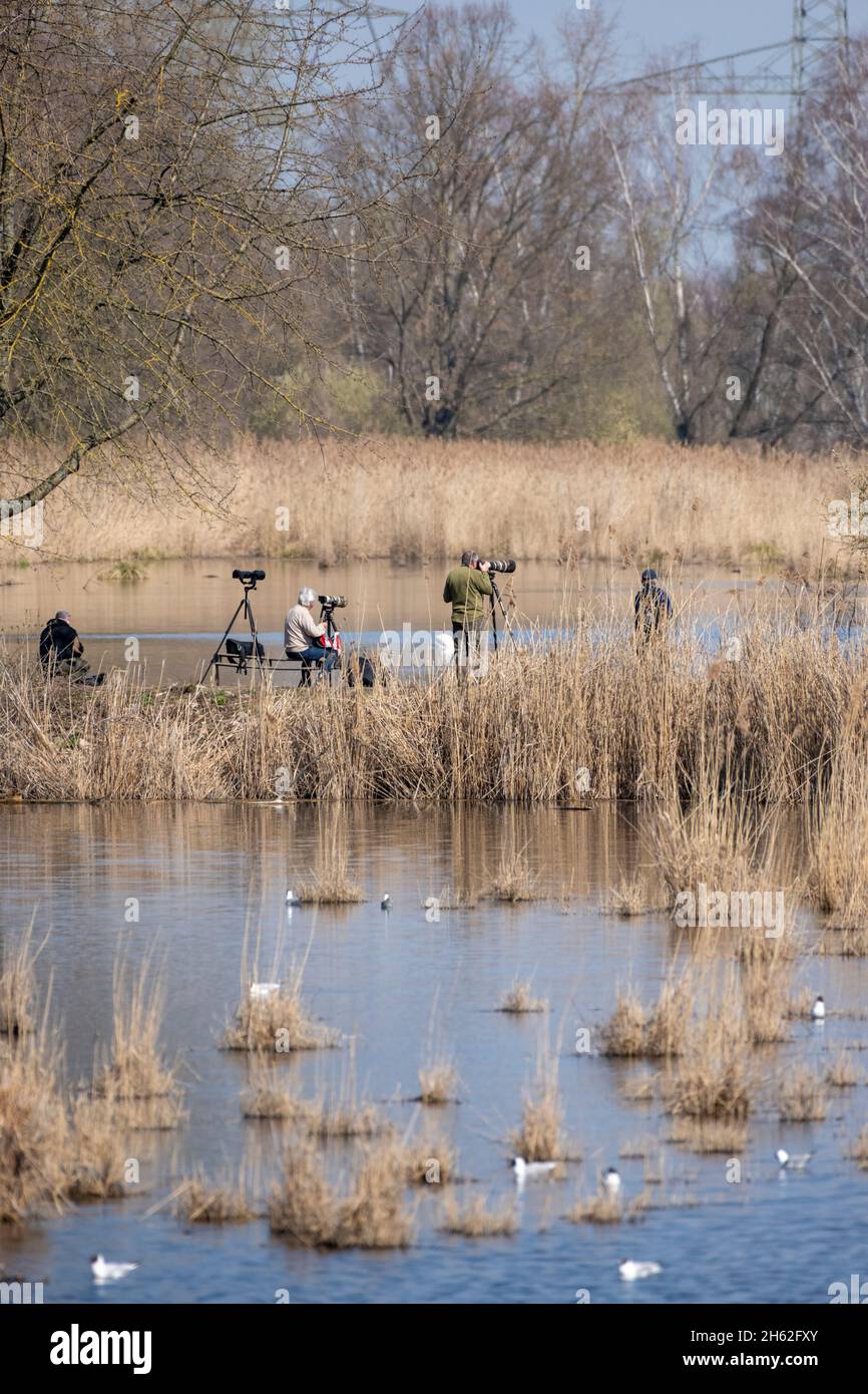 Naturfotograf bei der Arbeit. Stockfoto